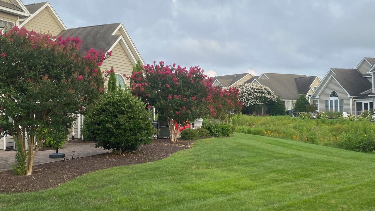 Photo of Outdoor in Ocean View