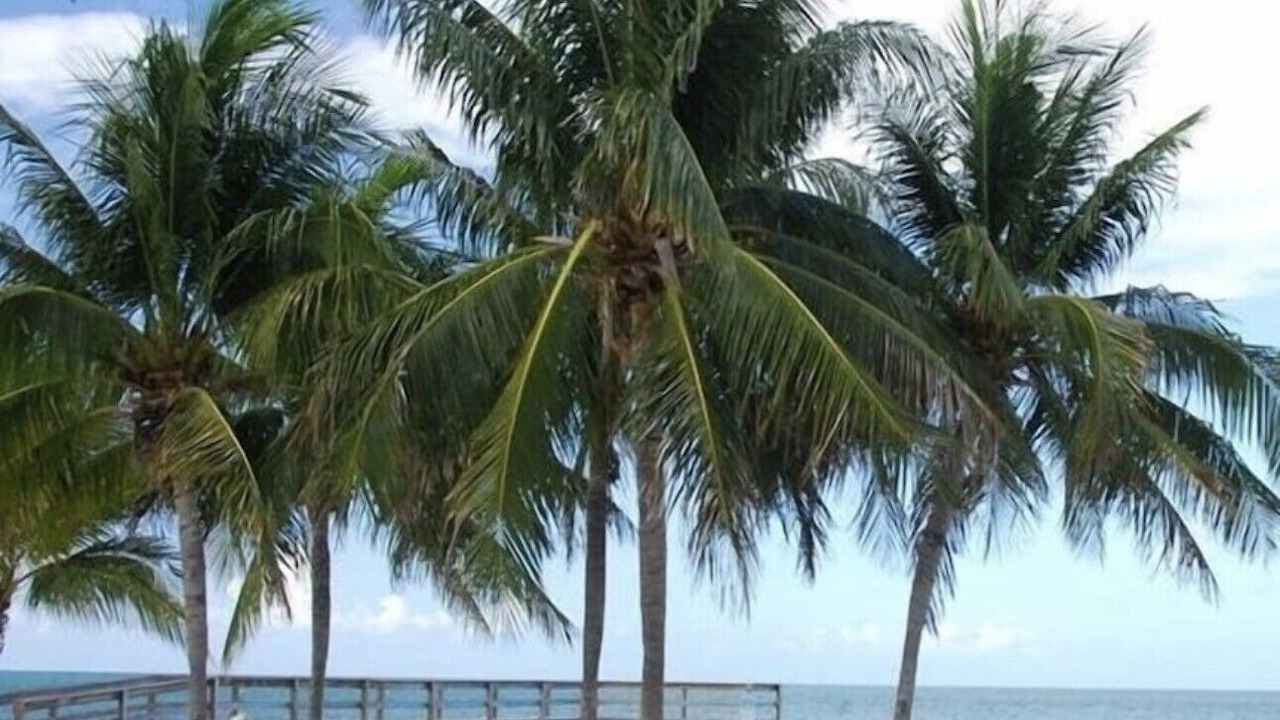 Photo of Others in Key Colony Beach