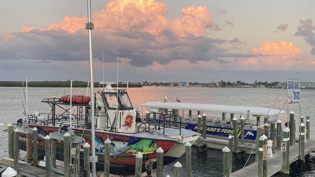 Photo of Others in Madeira Beach