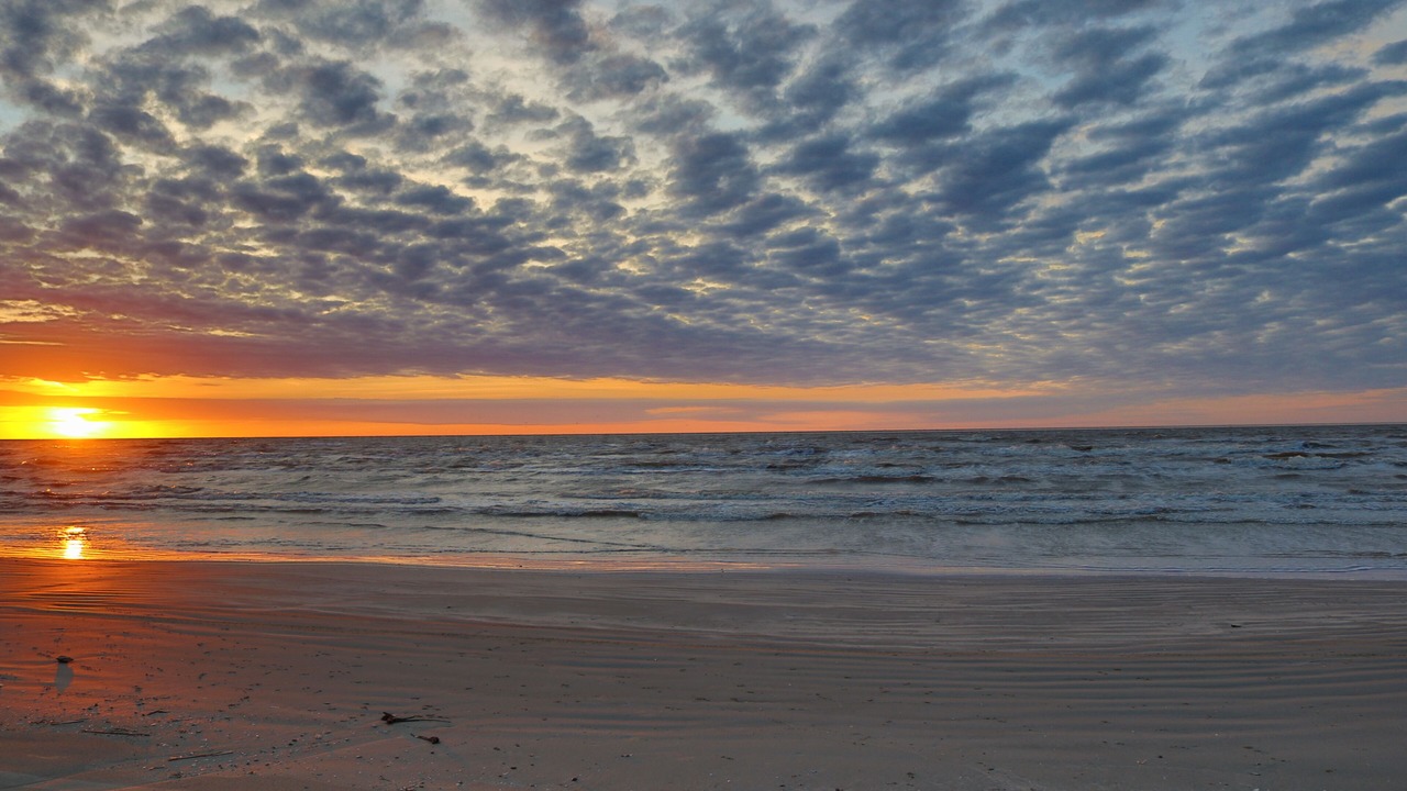 Photo of Others in Galveston