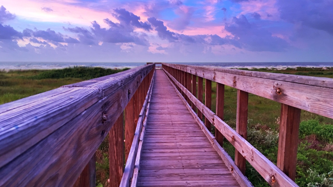 Photo of Others in Galveston