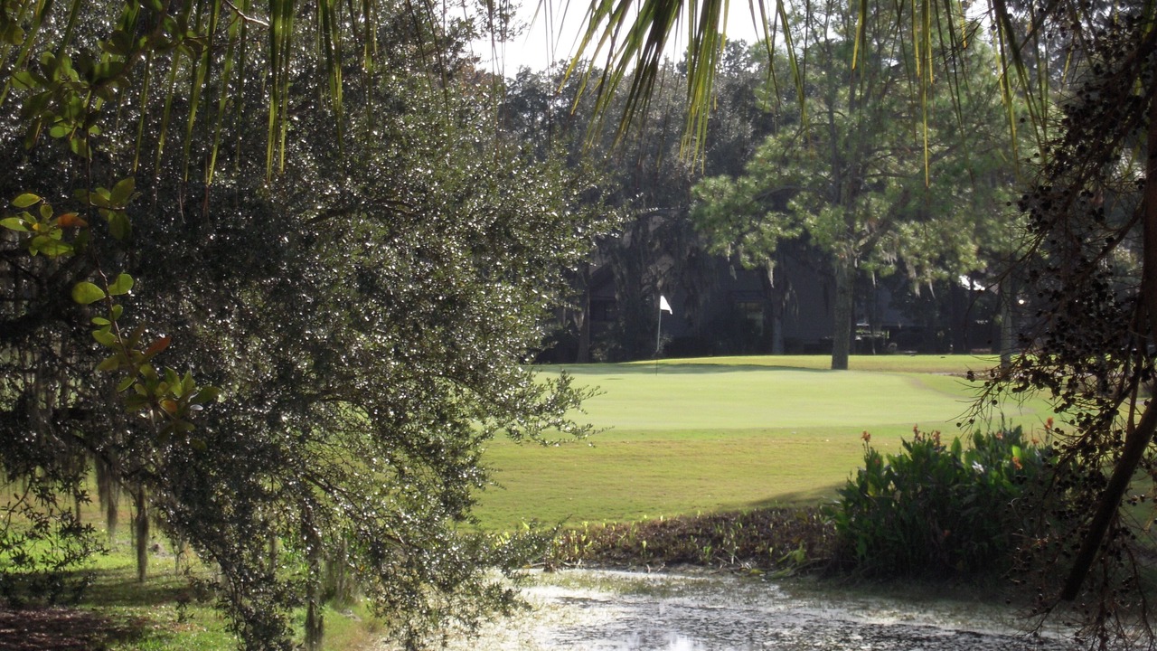 Photo of Others in Palmetto Dunes