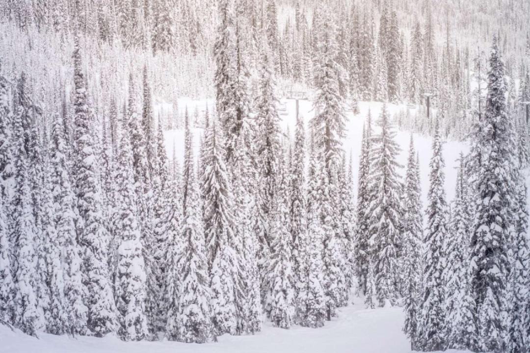 Photo of Others in West End