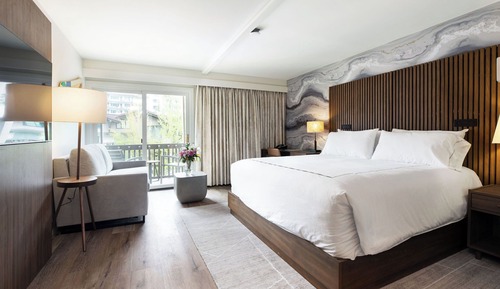 Standard Room, 1 King Bed, Mountain View