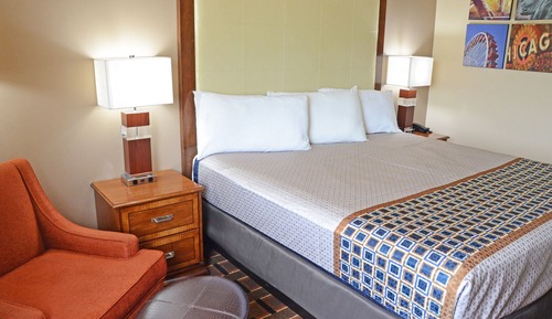 Standard Room, 1 King Bed, Non Smoking, Refrigerator & Microwave