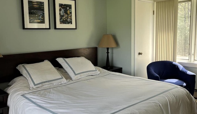 Perfect Stowe Location! Stunning Mountain Views in Cozy Condo 2BR- sleeps 6 in Stowe